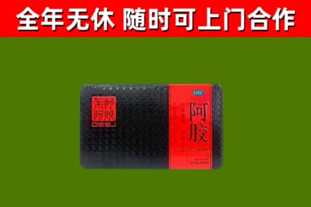 东山县回收阿胶