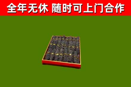 东山县回收海参